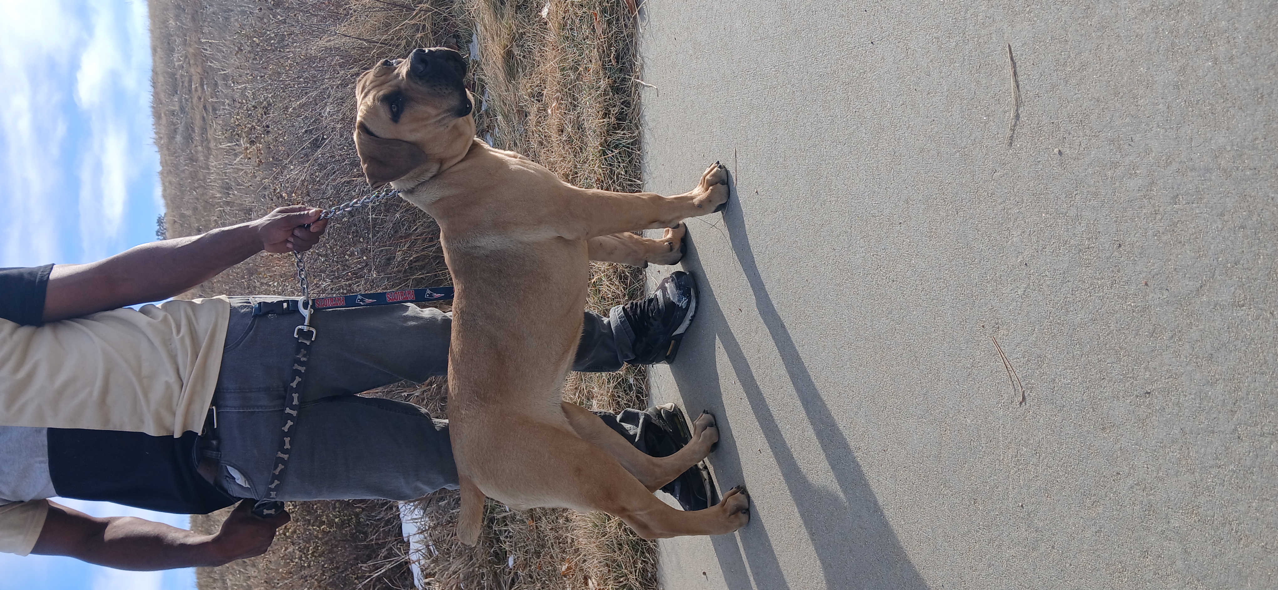 YC Prime Onyx 5 Months